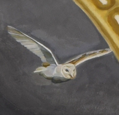 Owl detail